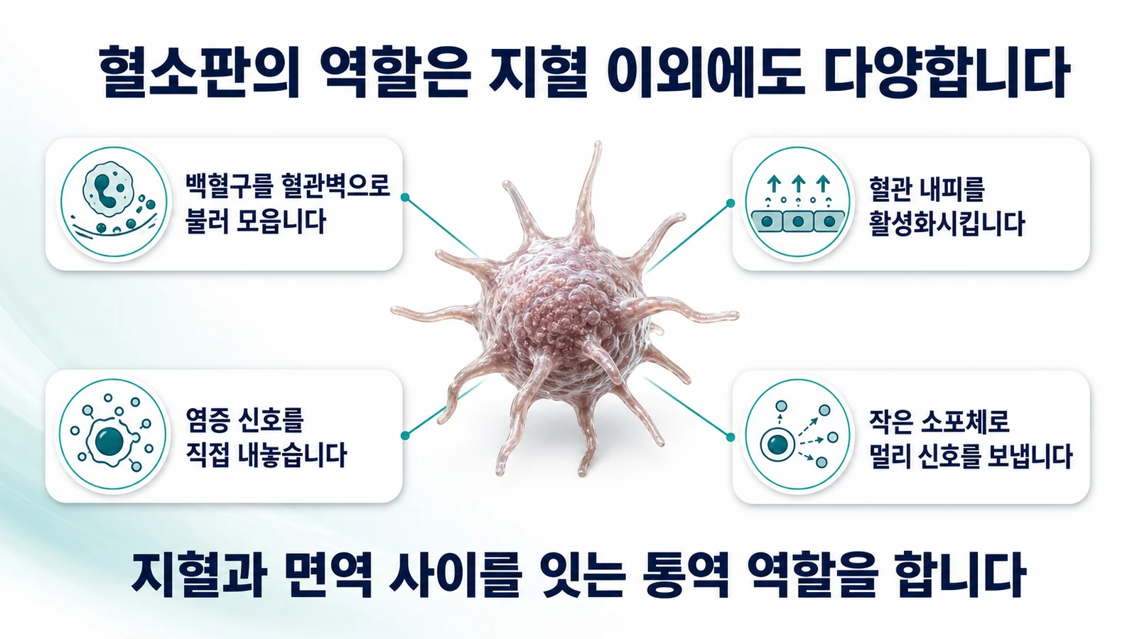 혈소판의 역할은 지혈 이외에도 다양합니다