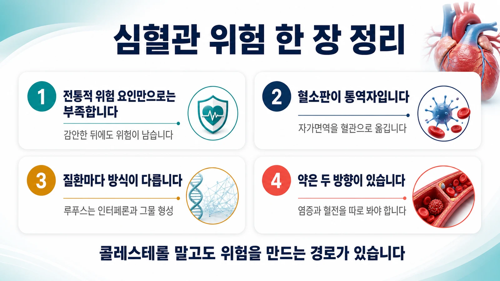 자가면역질환과 심혈관 위험을 한 장으로 정리하면