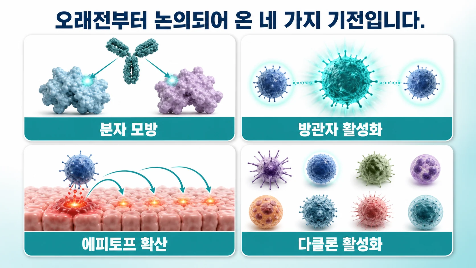 분자 모방, 방관자 활성화, 에피토프 확산, 다클론 활성화라는 네 가지 면역 기전을 정리한 그림