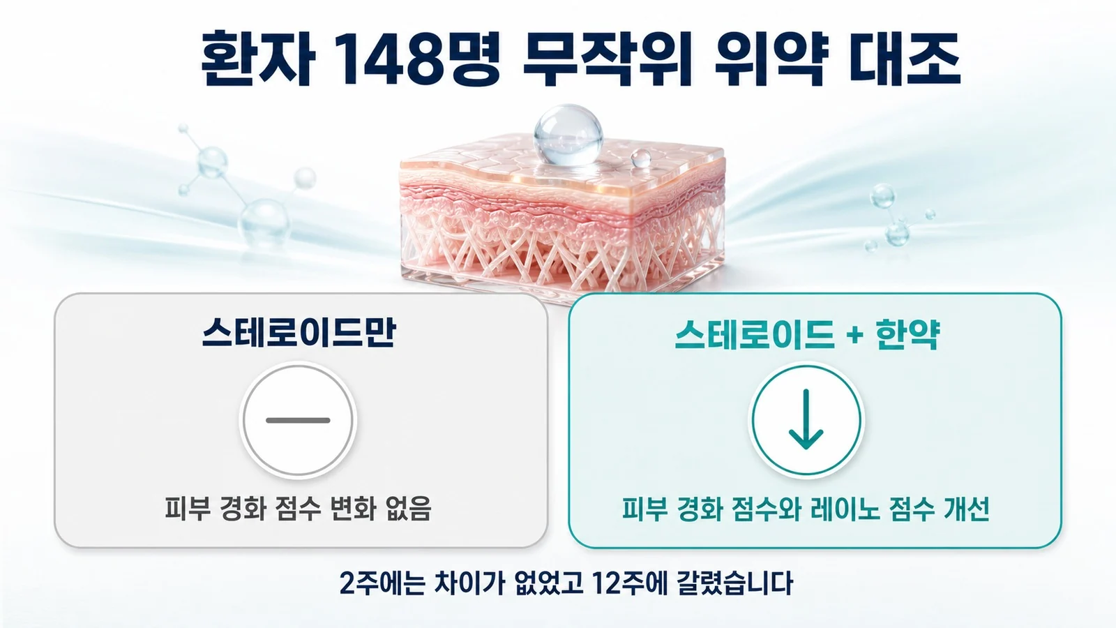 스테로이드만 쓴 군과 한약 목욕을 함께한 군에서 12주째 피부 경화 점수와 레이노 점수가 갈린 결과를 정리한 이미지