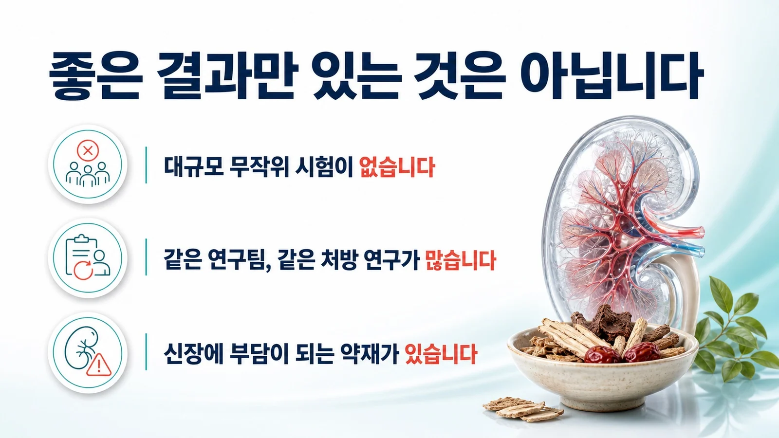 대규모 무작위 시험이 없고 같은 연구팀의 연구가 많으며 신장에 부담이 되는 약재가 있다는 한계를 정리한 이미지