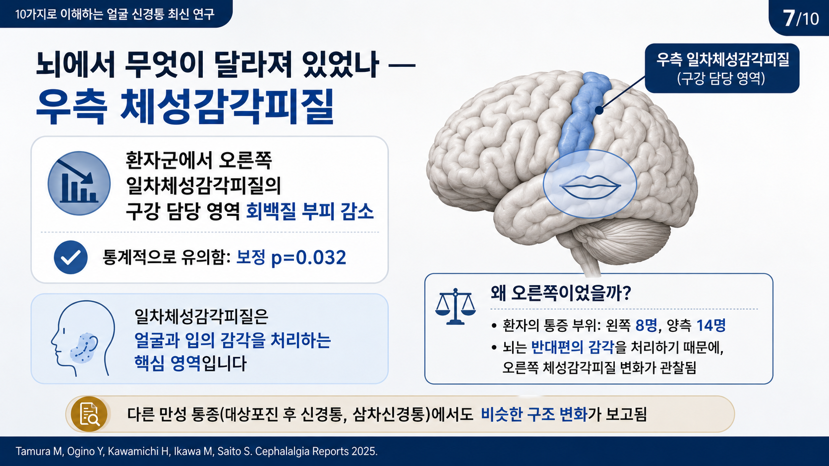 뇌에서 달라진 부분 — 우측 일차체성감각피질의 구강 담당 영역 회백질 부피 감소