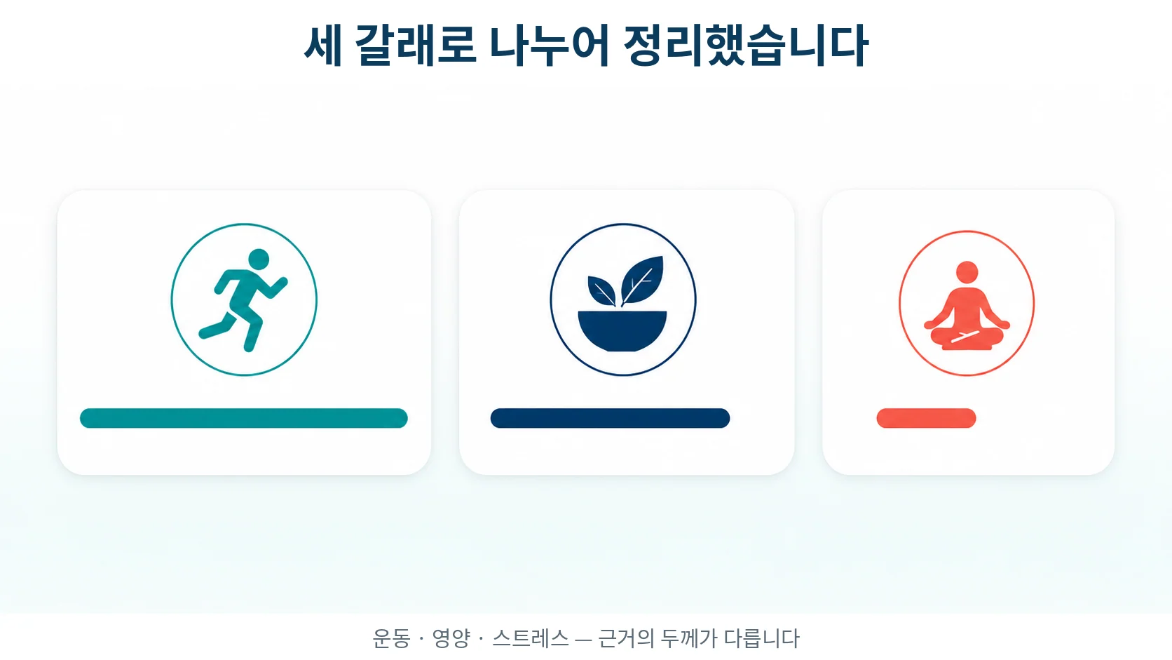 세 갈래로 나눈 생활 습관 연구