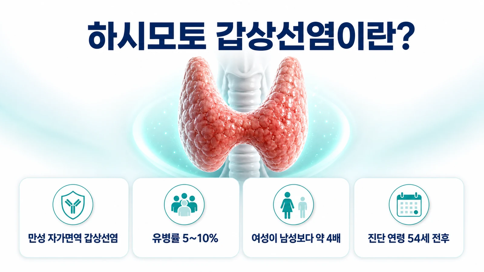 갑상선 자가면역 질환의 개요를 설명하는 의료 인포그래픽. 성인 여성이 남성보다 약 4배 많이 발생하며 유병률이 2퍼센트에서 5～10퍼센트로 증가했다는 내용