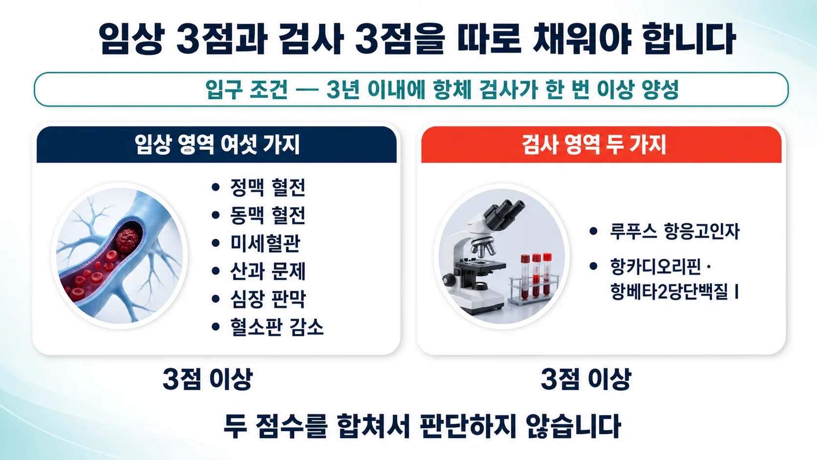 2023년 ACR/EULAR 기준의 구조 — 여덟 영역과 두 개의 문턱
