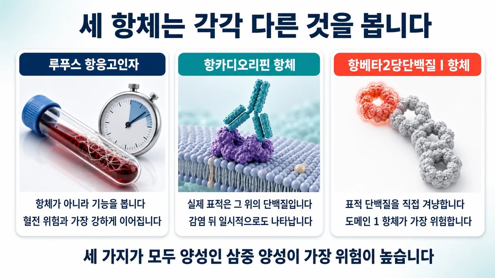 세 항체는 각각 무엇을 보는가