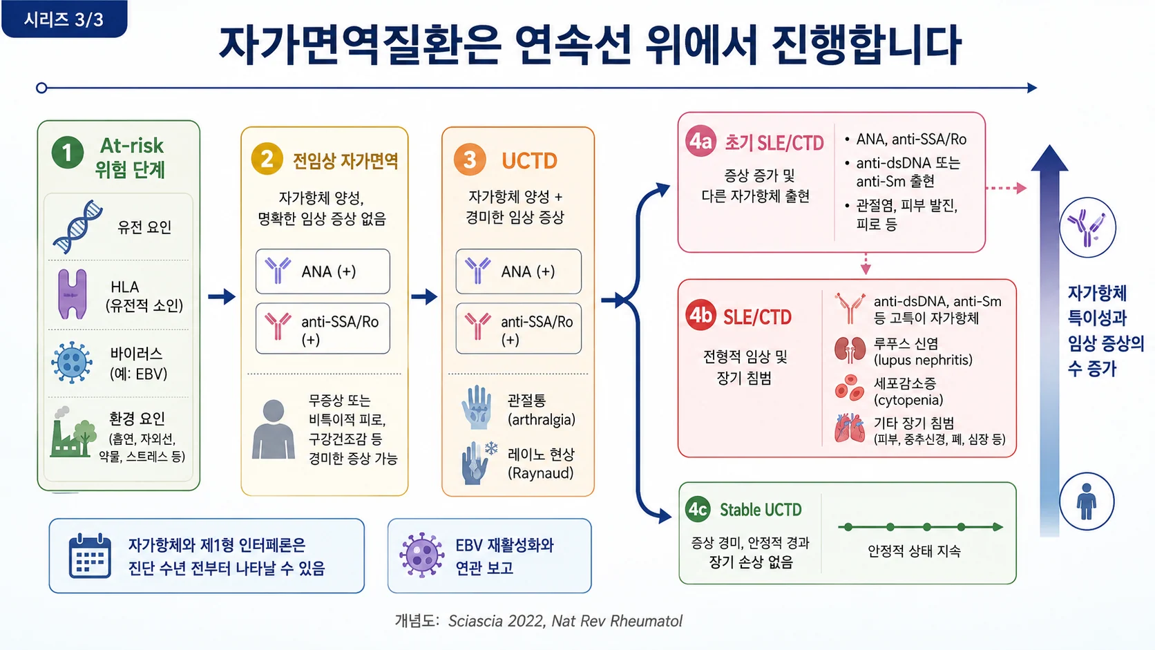 자가면역질환의 진행 연속선 — at-risk부터 전임상 자가면역, UCTD, SLE/CTD까지
