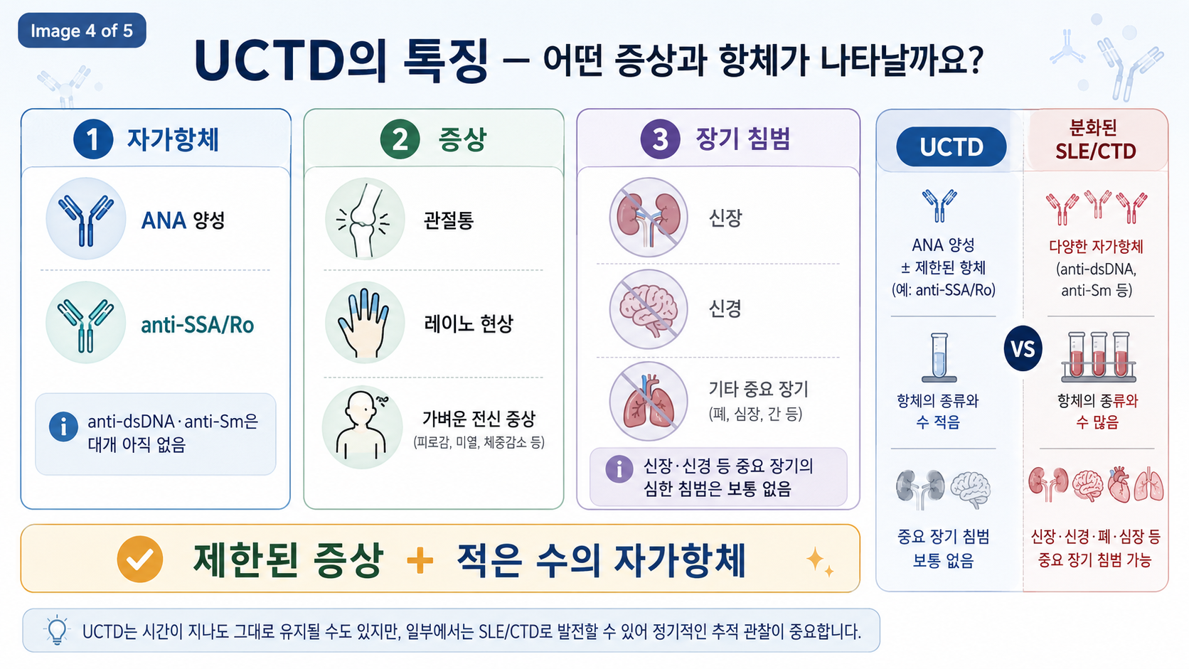 UCTD의 특징 — 자가항체(ANA·anti-SSA/Ro), 증상(관절통·레이노), 제한된 장기 침범