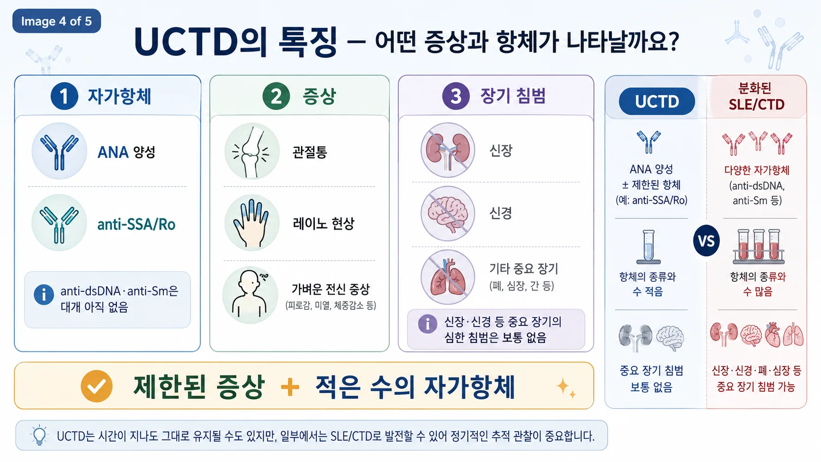 UCTD의 특징 — 자가항체(ANA·anti-SSA/Ro), 증상(관절통·레이노), 제한된 장기 침범