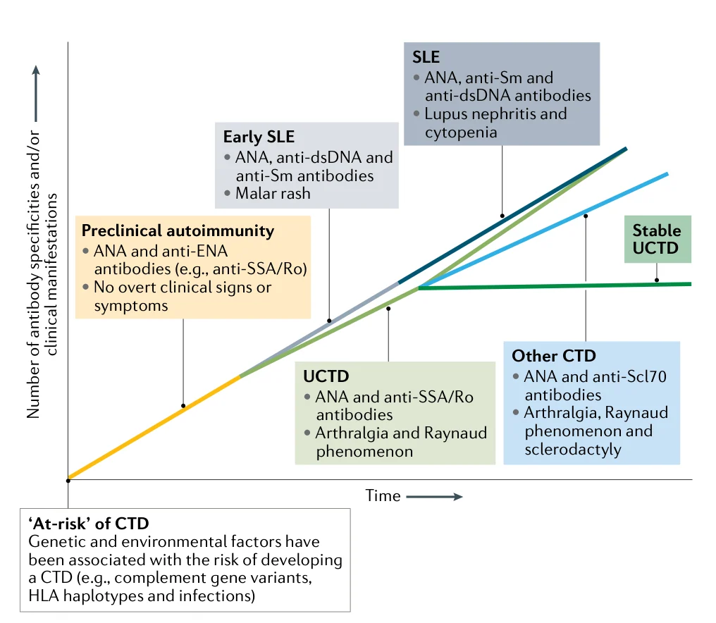 CTD·SLE 자연사 타임라인 (논문 원문 Fig.1, Sciascia 2022, Nature Reviews Rheumatology)