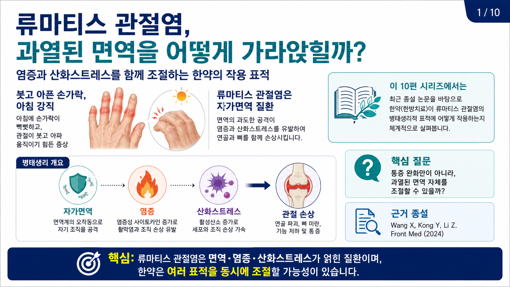 류마티스 관절염, 한약은 과열된 면역을 어떻게 가라앉힐까 — 병리 타겟별 항염증·항산화 작용