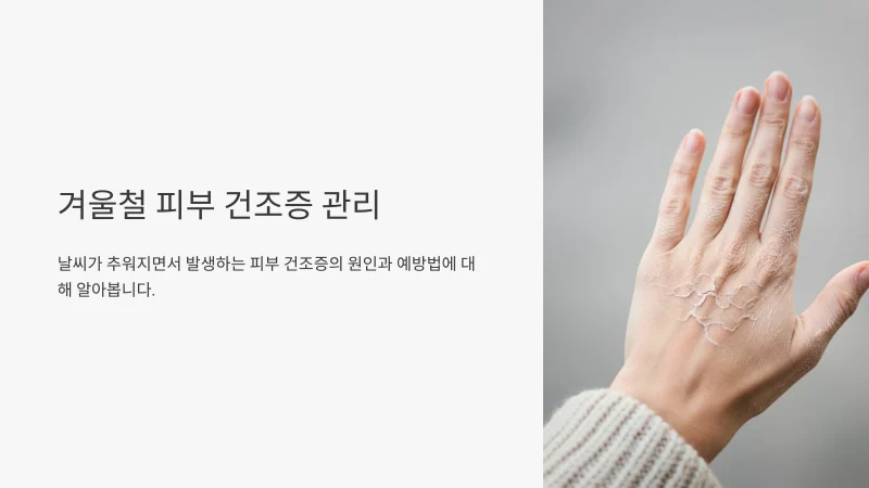겨울철 피부 건조
