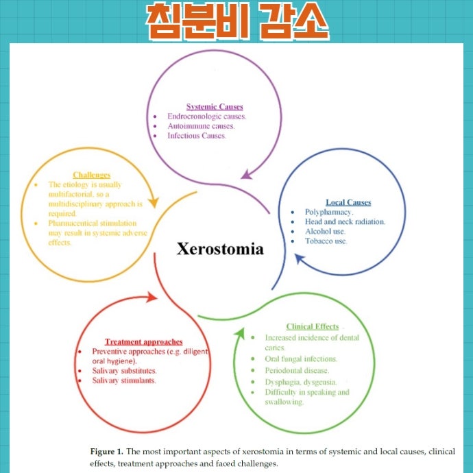 살라겐 작용기전