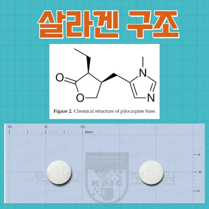 살라겐 부작용