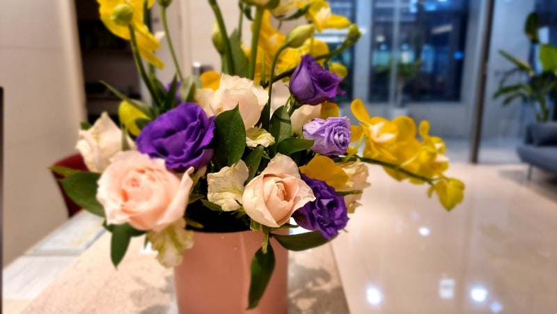 간수치 상승 연구