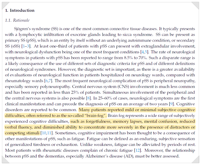 브레인 포그 개념