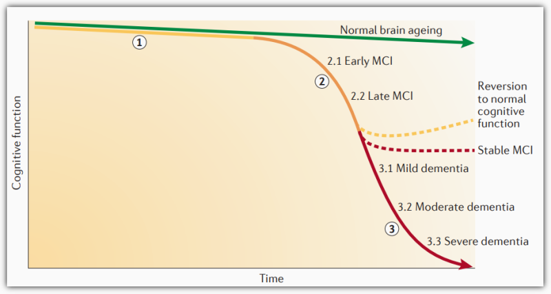 인지 기능 저하 유발 약물