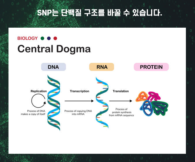 쇼그렌증후군과 유전성