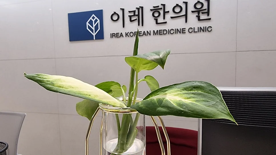 쇼그렌증후군의 피부 증상: 건조증, 혈관염, 자반증까지 #3