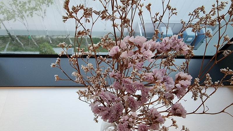 쇼그렌증후군과 건조증