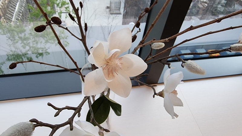 안구건조증 검사