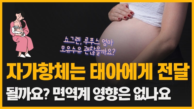 자가면역질환과 임신