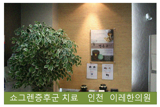 쇼그렌증후군 인지기능 이상