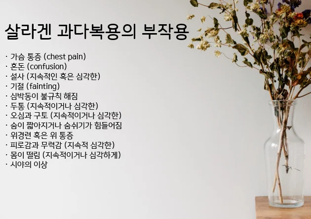 관련 이미지