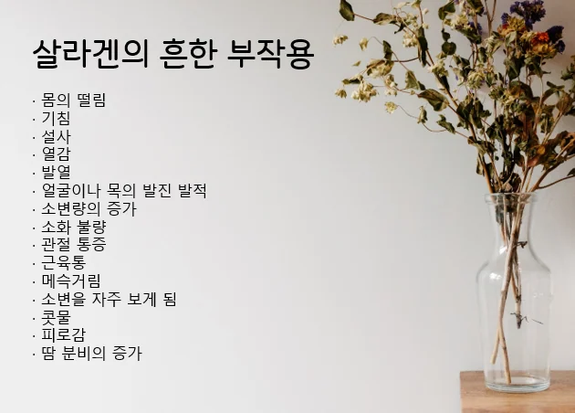 쇼그렌증후군 먹는 약 - 살라겐 필로겐 - img_05