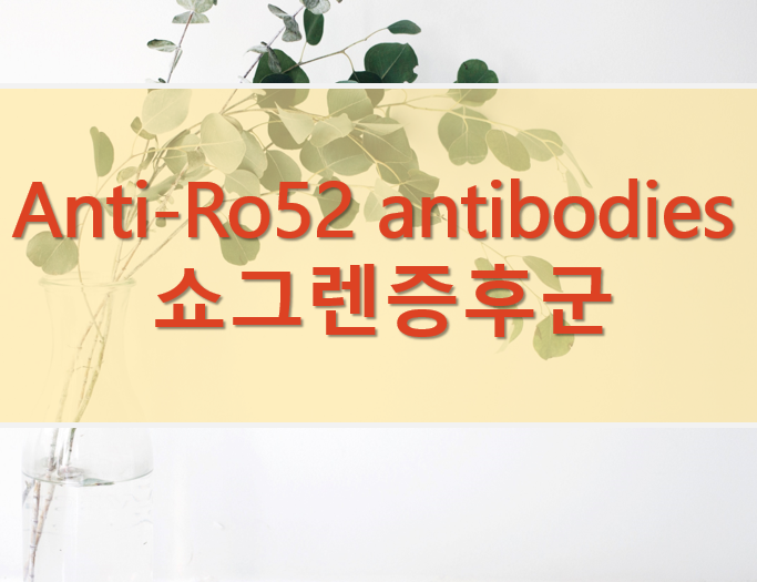 쇼그렌증후군 검사 Anti-Ro/ssA antibodies 양성의 의미