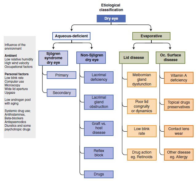심한 안구건조증의 원인으로 쇼그렌증후군이 있습니다. 인천 송도 이레 한의원