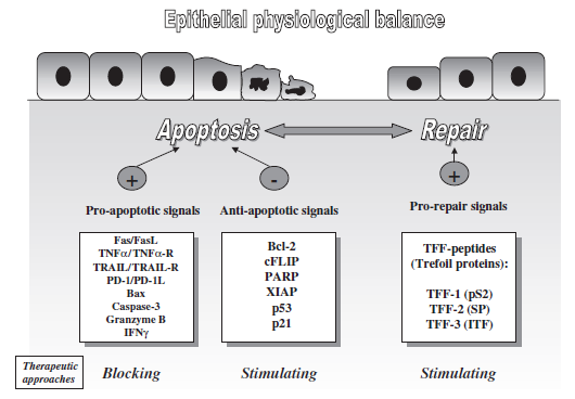 한약은 쇼그렌증후군 환자의 침샘 재생을 도울 수 있습니다.