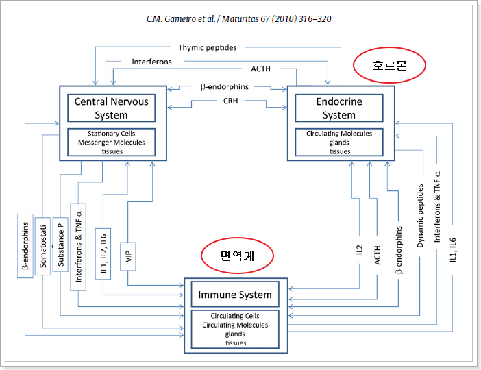 폐경은 쇼그렌증후군의 진행을 빠르게 할 수 있습니다.