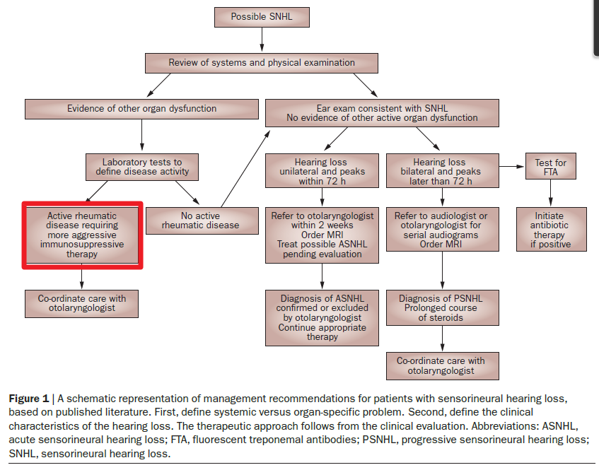 감각신경성 난청 - 쇼그렌증후군과 같은 자가면역질환의 증상일 수 있습니다