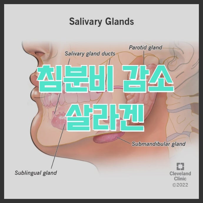 구강건조증 치료약 살라겐(피로카르핀) - 작용 기전부터 부작용까지