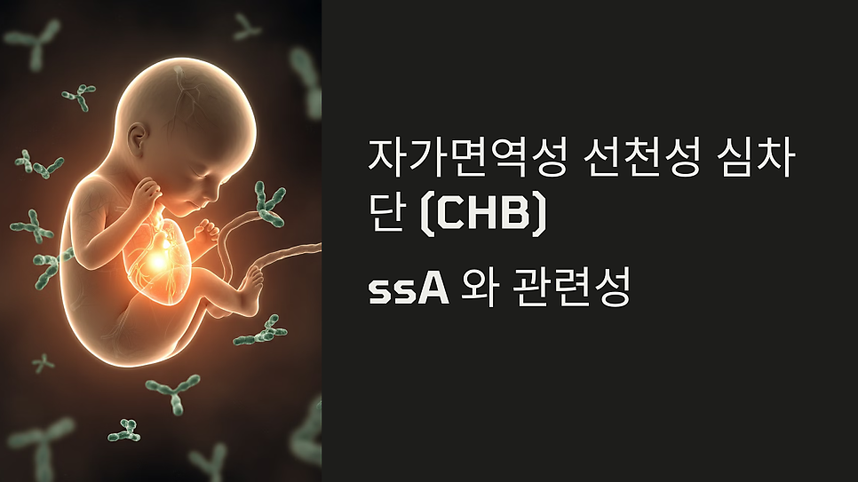 선천성 심차단(CHB)과 anti-ssA 항체 -- 쇼그렌증후군 환자의 임신과 태아 심장