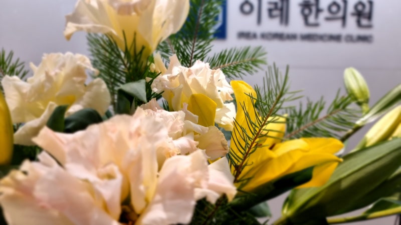 쇼그렌증후군 유전의 영향: 감수성 유전자와 가족력의 의미