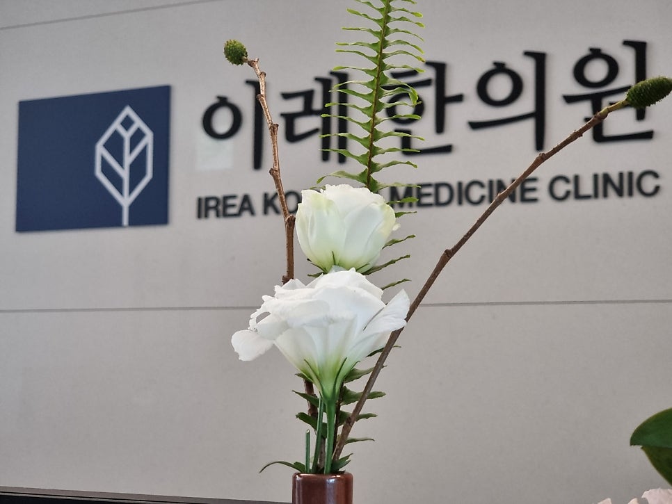 쇼그렌증후군 환자의 백신 접종 - 자가면역질환과 예방접종에 대한 가이드