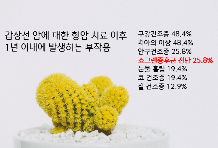 이미지 1
