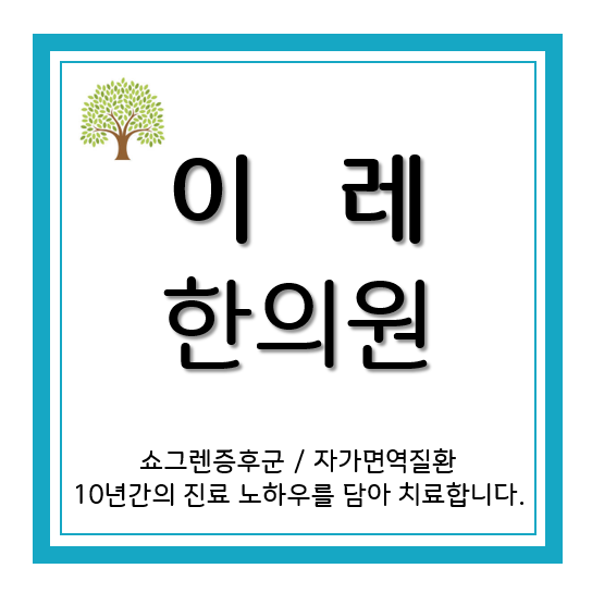 이미지 5