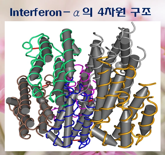 쇼그렌증후군 한약 치료, INF #1