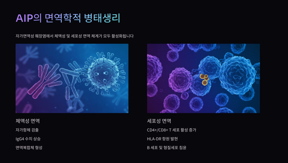AIP 치료 전략 도식
