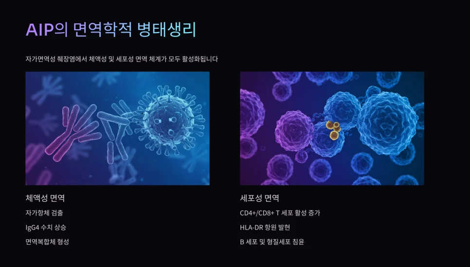 AIP 치료 전략 도식