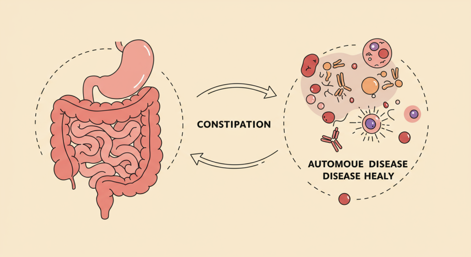 변비 완화 생활습관 가이드