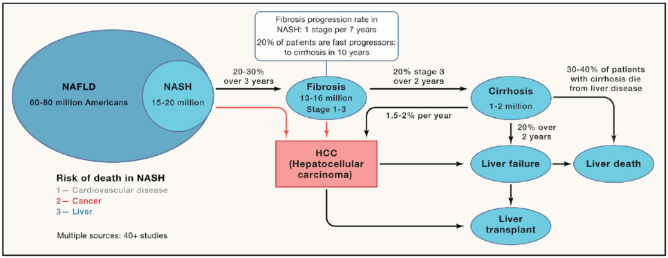 자가면역 환자 간 건강 관리