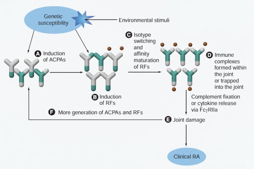 쇼그렌증후군 혈액 검사 항목