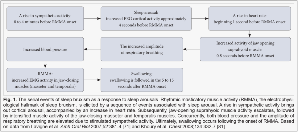 수면 중 이갈이 특징 도식