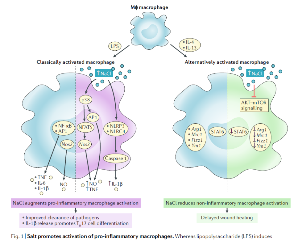 쇼그렌증후군 식단 관리
