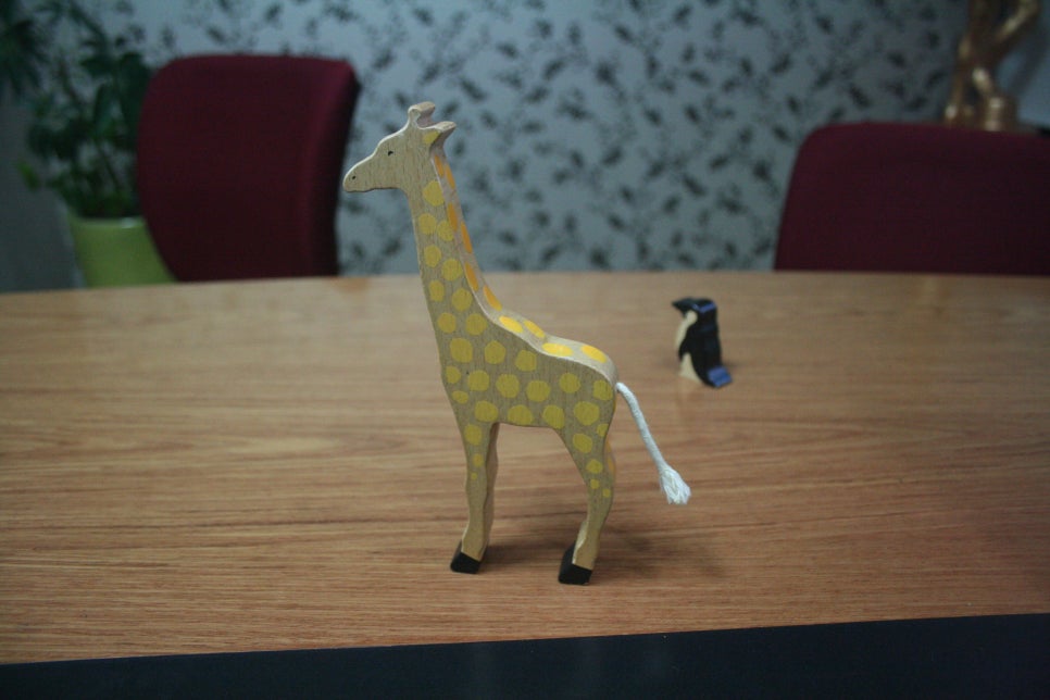 쇼그렌증후군 혈소판감소증의 원인