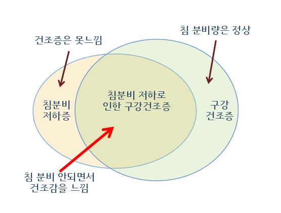 쇼그렌증후군 환자의 침 분비량과 구강 건조증 간의 관계, 인천이레한의원